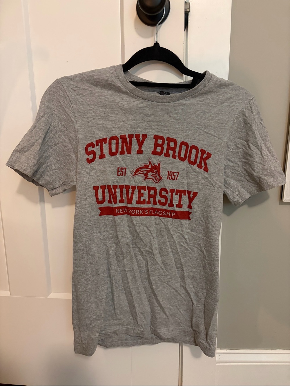 Stony Brook University heather gray graphic college t-shirt